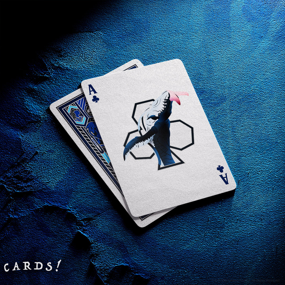 Avatar Playing Cards - The Lanes HK