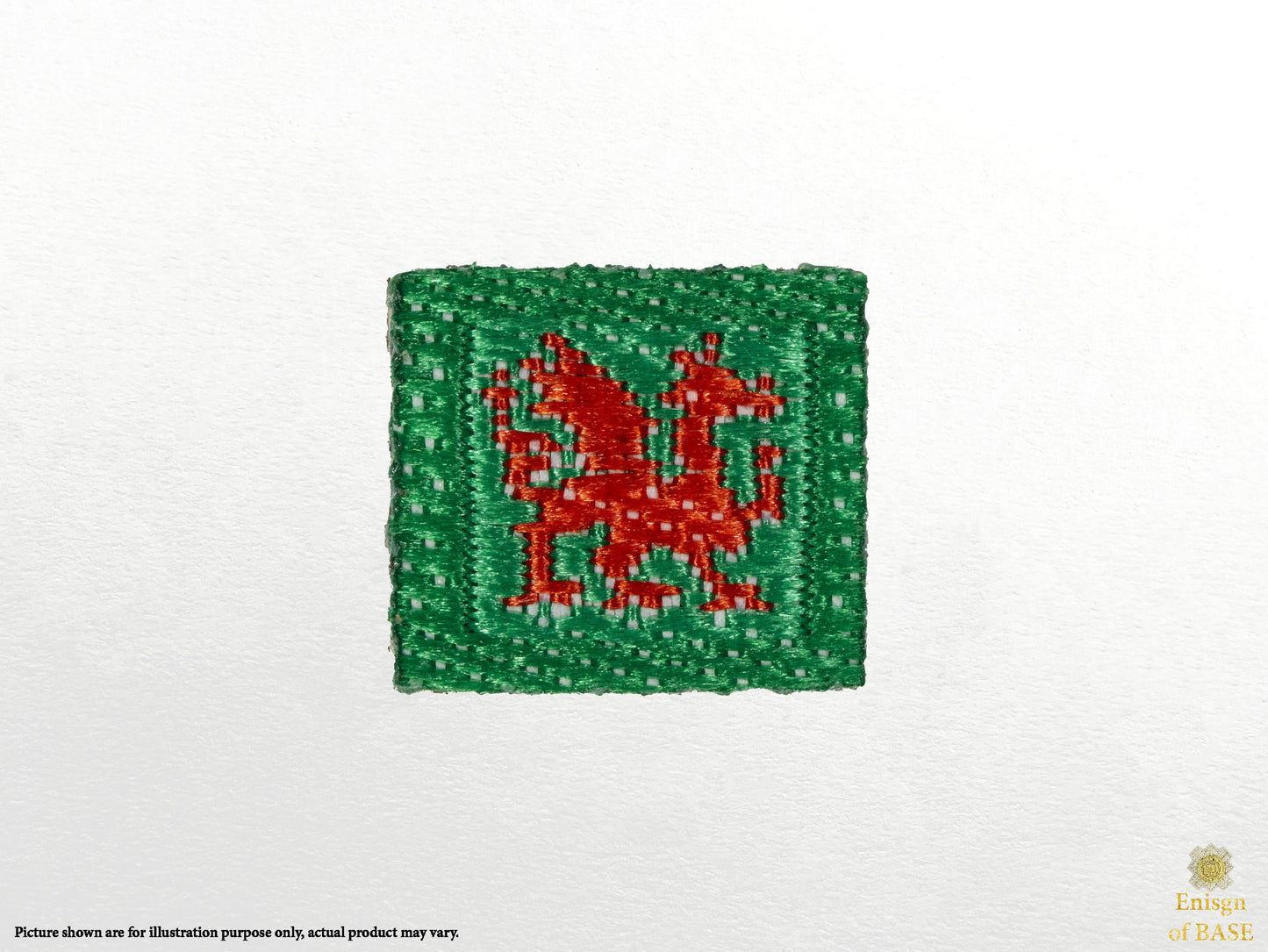 1/6 British Army 2nd Battalion Royal Welsh TRF