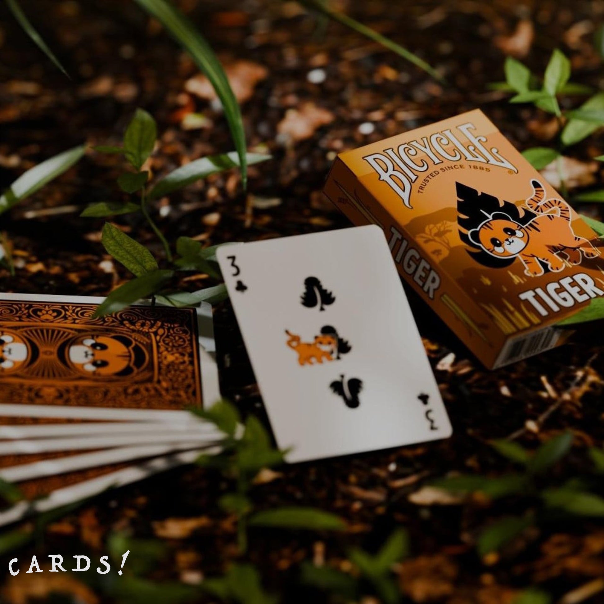 Bicycle Tiger Playing Cards - The Lanes HK