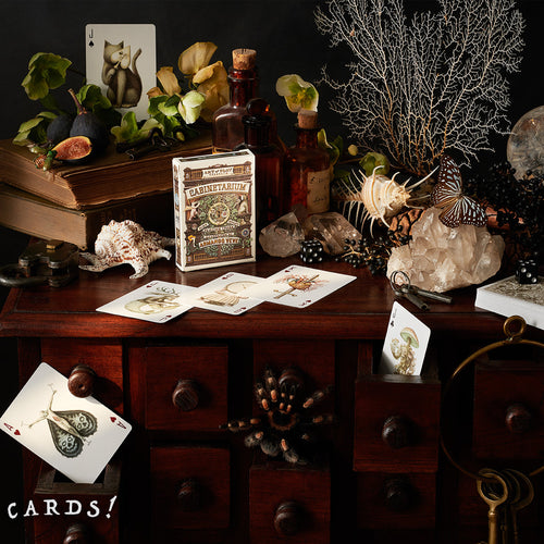Cabinetarium 櫥櫃 啤牌 撲克牌 - The Lanes HK