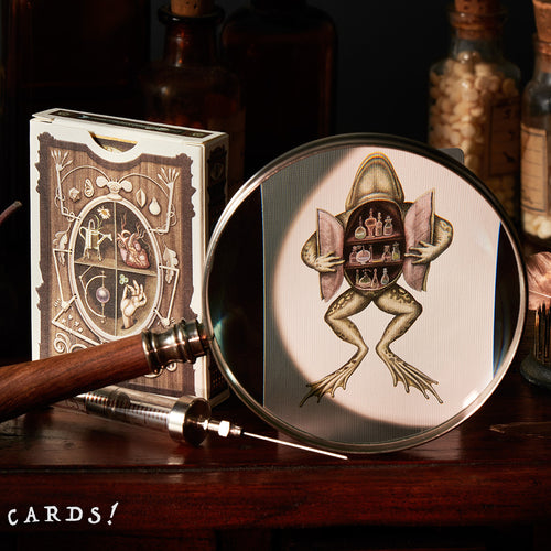 Cabinetarium 櫥櫃 啤牌 撲克牌 - The Lanes HK